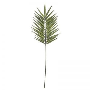 Фотография. Цветок из фоамирана Зеленый пальмовый листa j-205.