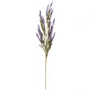 HDF7 Искусственный цветок Эремурус полевой 800, фиолетовый