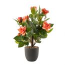 AJ-218 Цветочная композици Роза нежная 300х300х400, зеленый